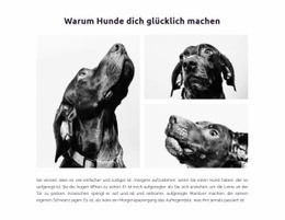 Glückliche Hunde - Professionell Gestaltet