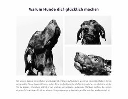Glückliche Hunde Website-Design