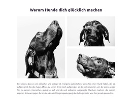 Glückliche Hunde Website-Vorlage