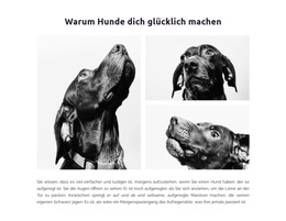 Glückliche Hunde – Drag & Drop-WordPress-Theme