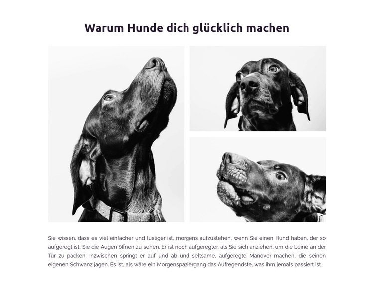 Glückliche Hunde Landing Page