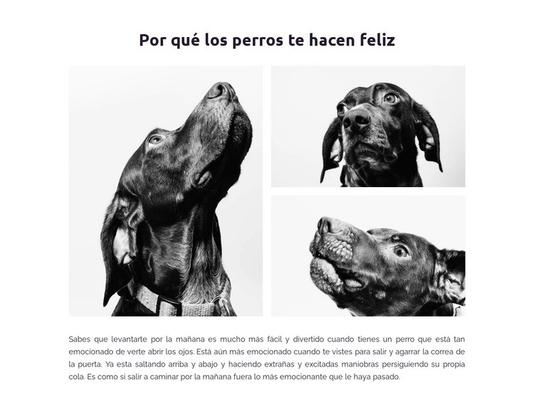 Perros felices Plantillas de creación de sitios web