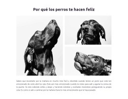 Perros Felices - Página De Destino Sencilla