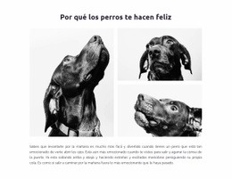 Perros Felices #Templates-Es-Seo-One-Item-Suffix