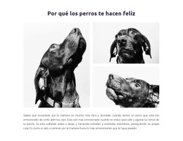 Perros Felices Plantilla CSS De Tabla