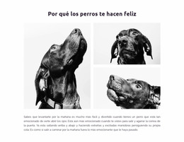 Perros Felices