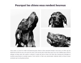 Chiens Heureux Conception De Sites Web