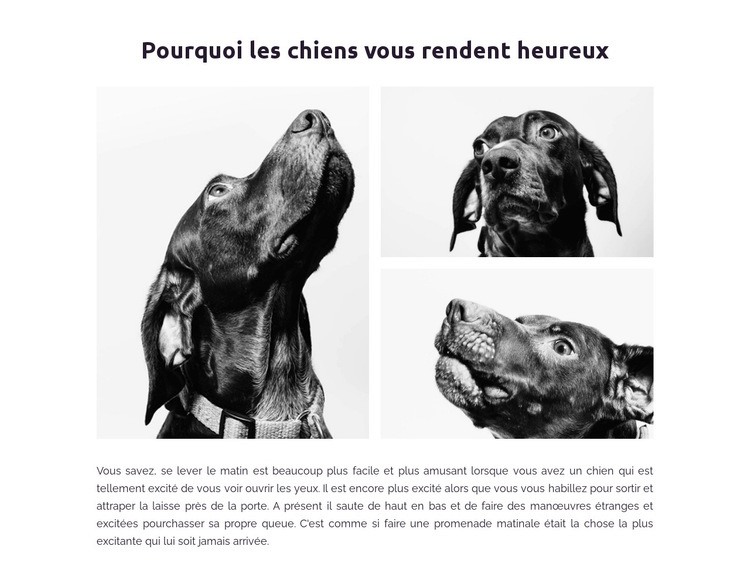 Chiens heureux Modèles de constructeur de sites Web