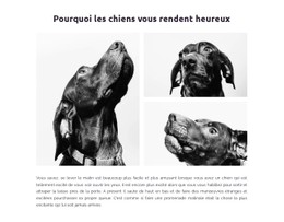 Chiens Heureux Modèle CSS De Tableau