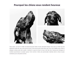 Chiens Heureux - Code Du Modèle HTML