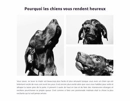 Chiens Heureux