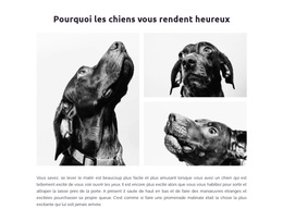 Chiens Heureux - Thème WordPress À Télécharger Gratuitement