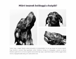 A Kutyák Boldoggá Tesznek Minket - HTML Sablon Kód