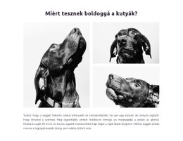 A Kutyák Boldoggá Tesznek Minket #Website-Design-Hu-Seo-One-Item-Suffix