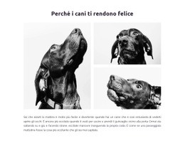 Cani Felici - HTML Website Builder