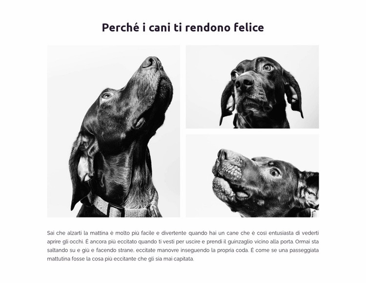 Cani felici Progettazione di siti web