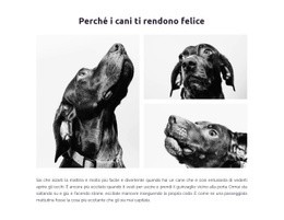 Cani Felici - Progettato Professionalmente