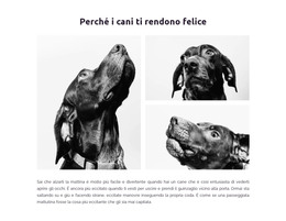 Cani Felici - Codice Modello HTML