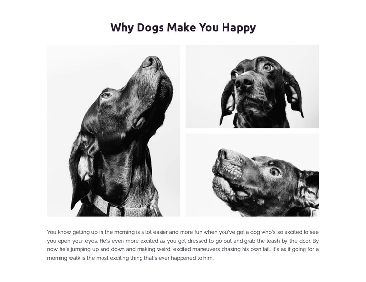 Dogs make us happy Joomla Page Builder