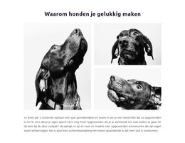 Blije Honden - HTML-Sjablooncode