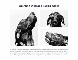 Blije Honden