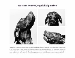 Blije Honden