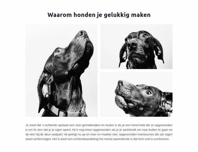 Blije honden Website ontwerp