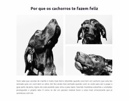 Cachorros Felizes - Construtor De Sites Criativos E Multifuncionais