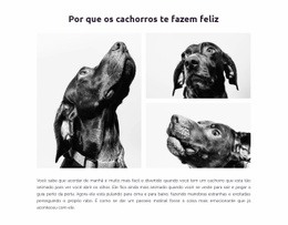 Cachorros Felizes - HTML Website Builder