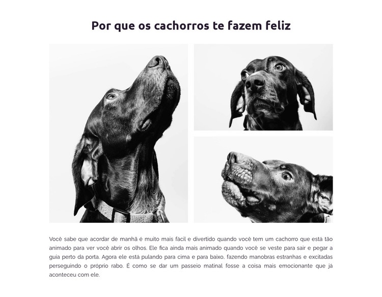 Cachorros felizes Modelos de construtor de sites