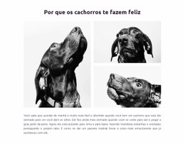 Cachorros Felizes Design Do Site