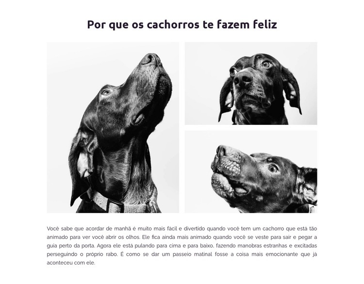 Cachorros felizes Maquete do site