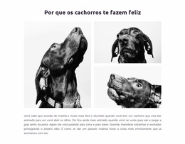 Cachorros Felizes