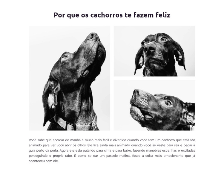 Cachorros felizes Modelo de site