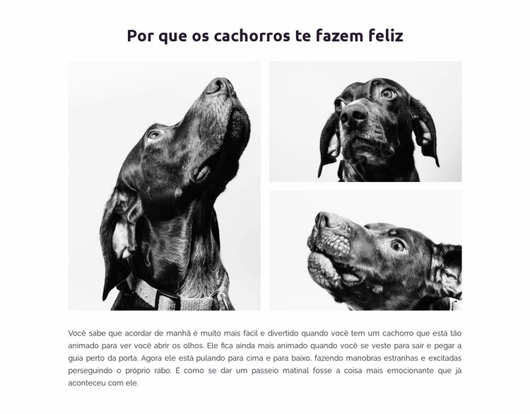 Cachorros felizes Landing Page