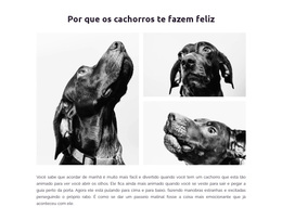 Cachorros Felizes - Tema WordPress Para Download Gratuito