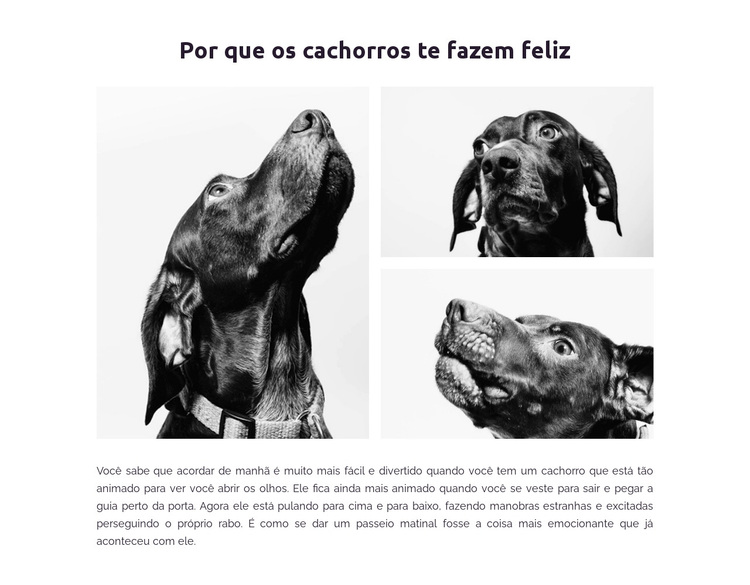 Cachorros felizes Tema WordPress