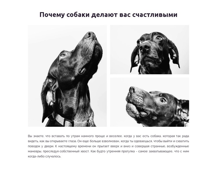Счастливые собаки HTML шаблон
