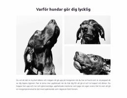 Hundar Gör Oss Lyckliga #Templates-Sv-Seo-One-Item-Suffix