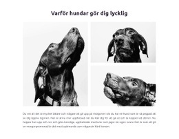 Hundar Gör Oss Lyckliga #Website-Templates-Sv-Seo-One-Item-Suffix