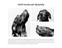 Hundar Gör Oss Lyckliga - Gratis Nedladdning WordPress-Tema