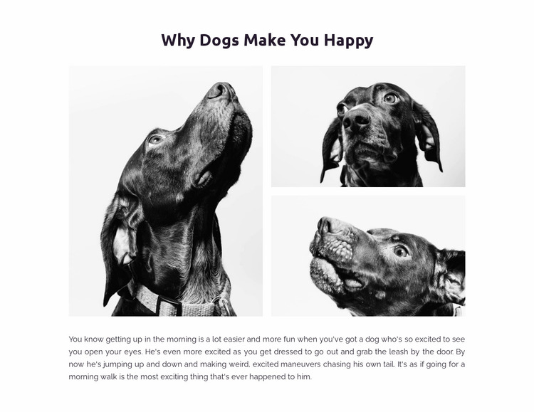 Dogs make us happy Website Mockup