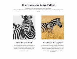Erstaunliche Zebra-Fakten – Anpassbare Professionelle HTML5-Vorlage