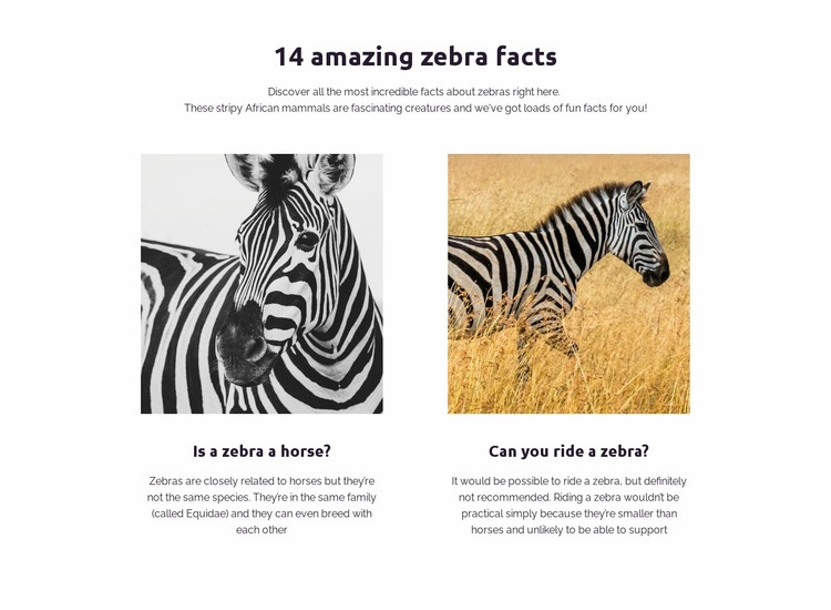 Amazing zebra facts Elementor Template Alternative