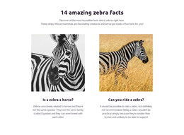 Amazing Zebra Facts - Free Wysiwyg HTML Editor
