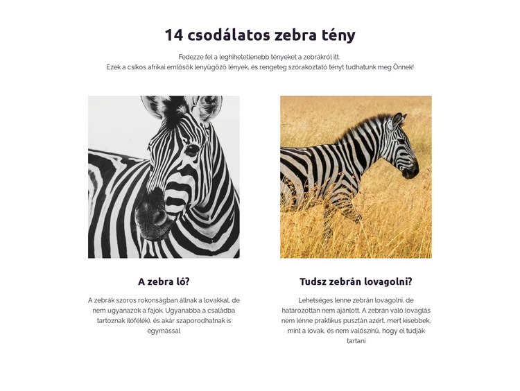 Elképesztő zebra tények HTML Sablon