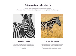 Amazing Zebra Facts - Functionality Joomla Template