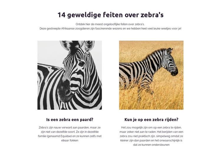 Verbazingwekkende feiten over zebra's Website Builder-sjablonen