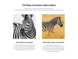 Fatos Incríveis Sobre Zebra - HTML5 Website Builder