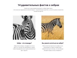 Удивительные Факты О Зебрах HTML-Шаблон
